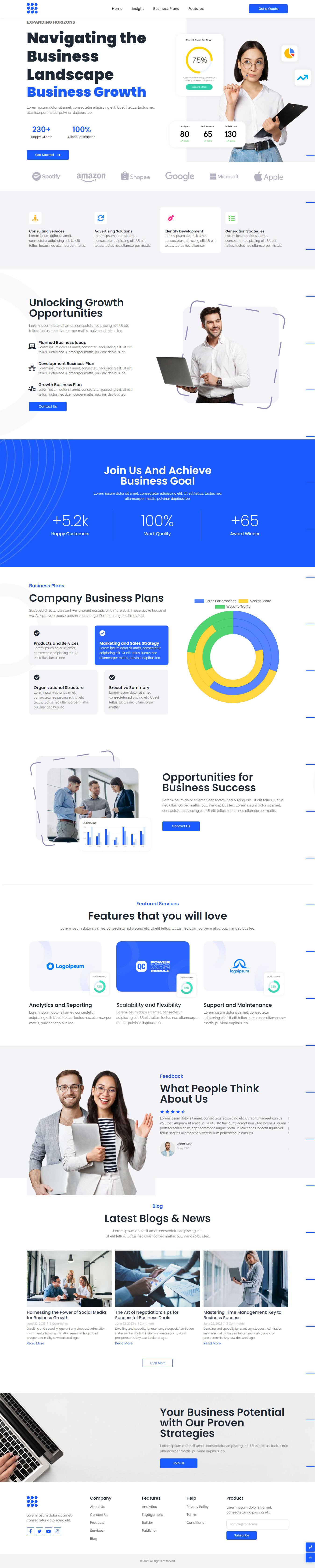 Business website design